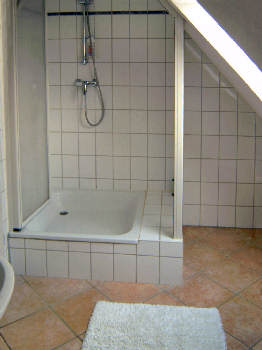 Duschkabine im Bad der Wohnung 1 Gutshaus Losentitz Rügen